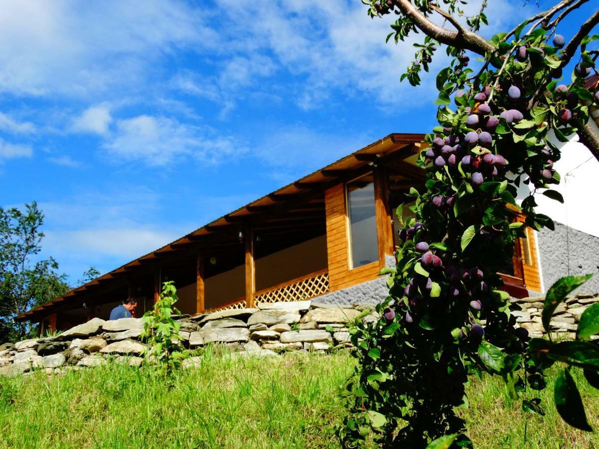 Casa Veche Corbeni Hotel Eksteriør billede